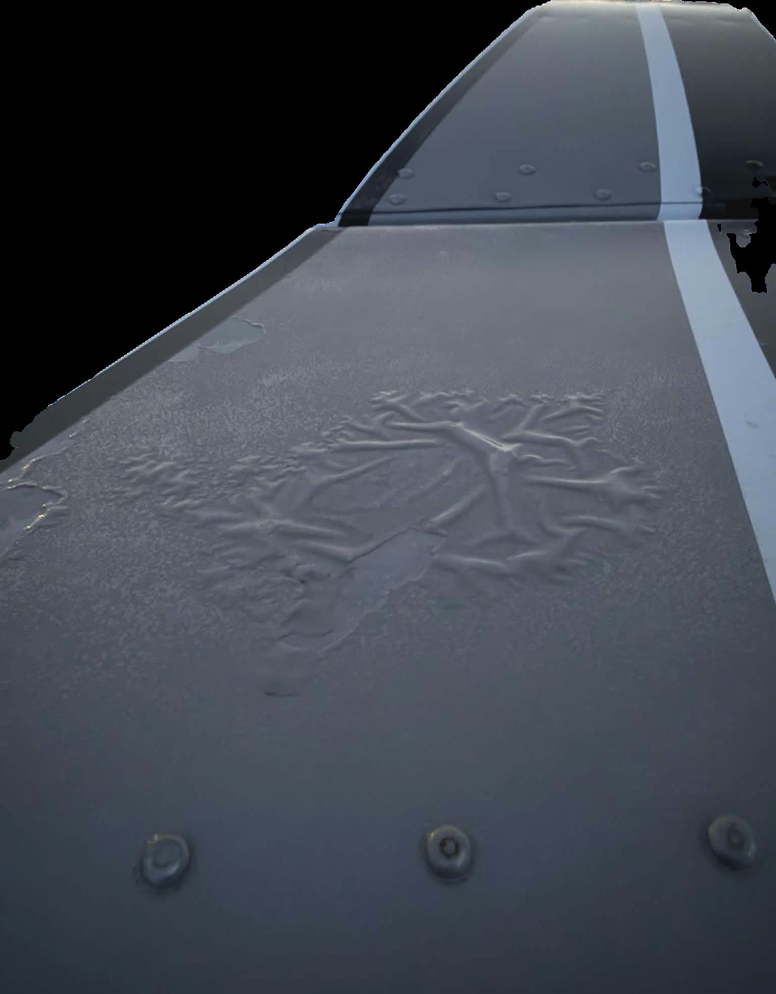 Aircraft wing detail showing finish texture