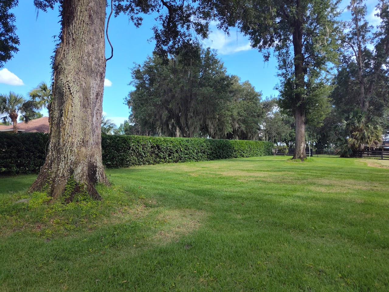 Lawn maintenance