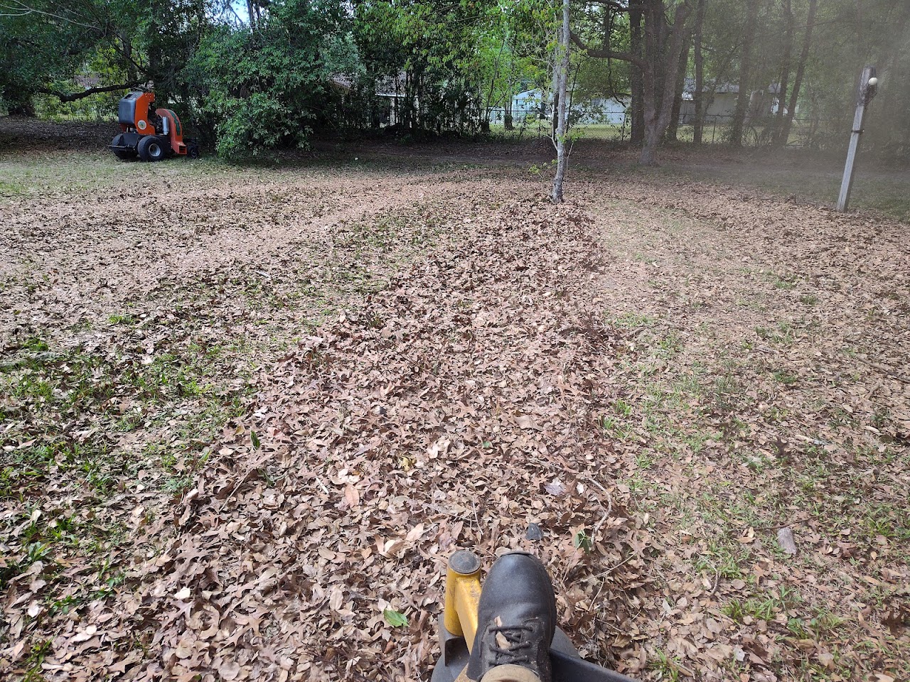 Junk and debris removal